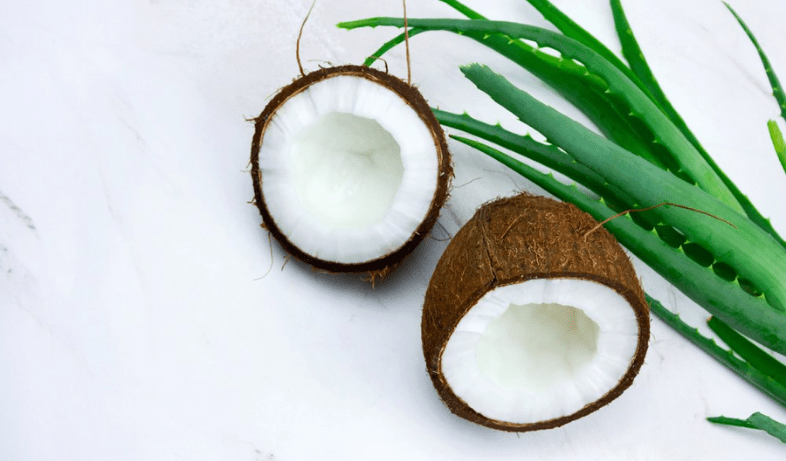 10 Benefits Of Aloe Vera And Coconut Oil For Your Hair  Organico