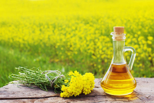 Amazing Benefits Of Mustard Oil (Sarson Oil)
