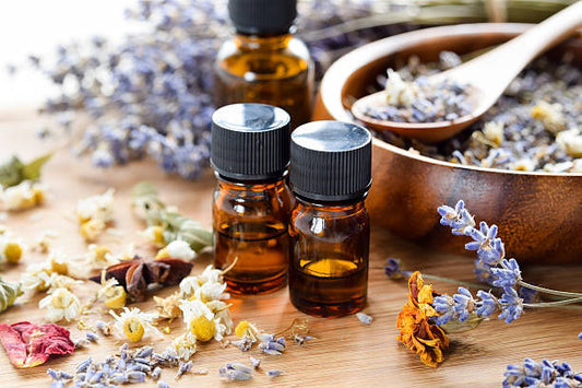 Everything You Need to Know About Essential Oils